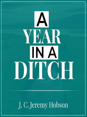 cover image of A Year In a Ditch